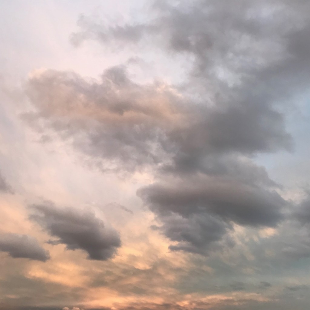 Connecting to Climate&nbsp;Action